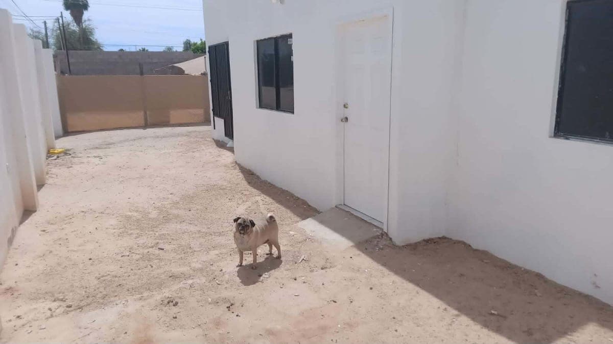Casa 1